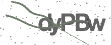 Captcha Bild