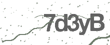 Captcha Bild