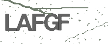 Captcha Bild