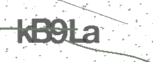 Captcha Bild