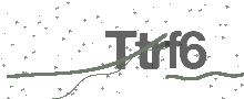 Captcha Bild