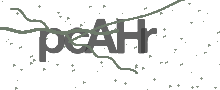 Captcha Bild