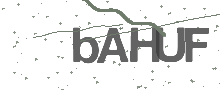Captcha Bild