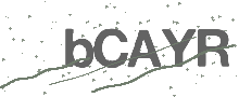 Captcha Bild
