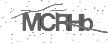 Captcha Bild
