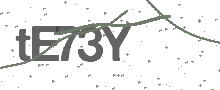 Captcha Bild