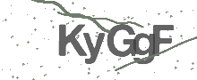 Captcha Bild