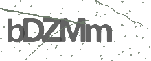Captcha Bild
