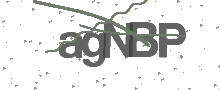 Captcha Bild