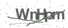 Captcha Bild