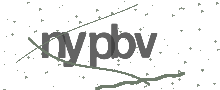 Captcha Bild